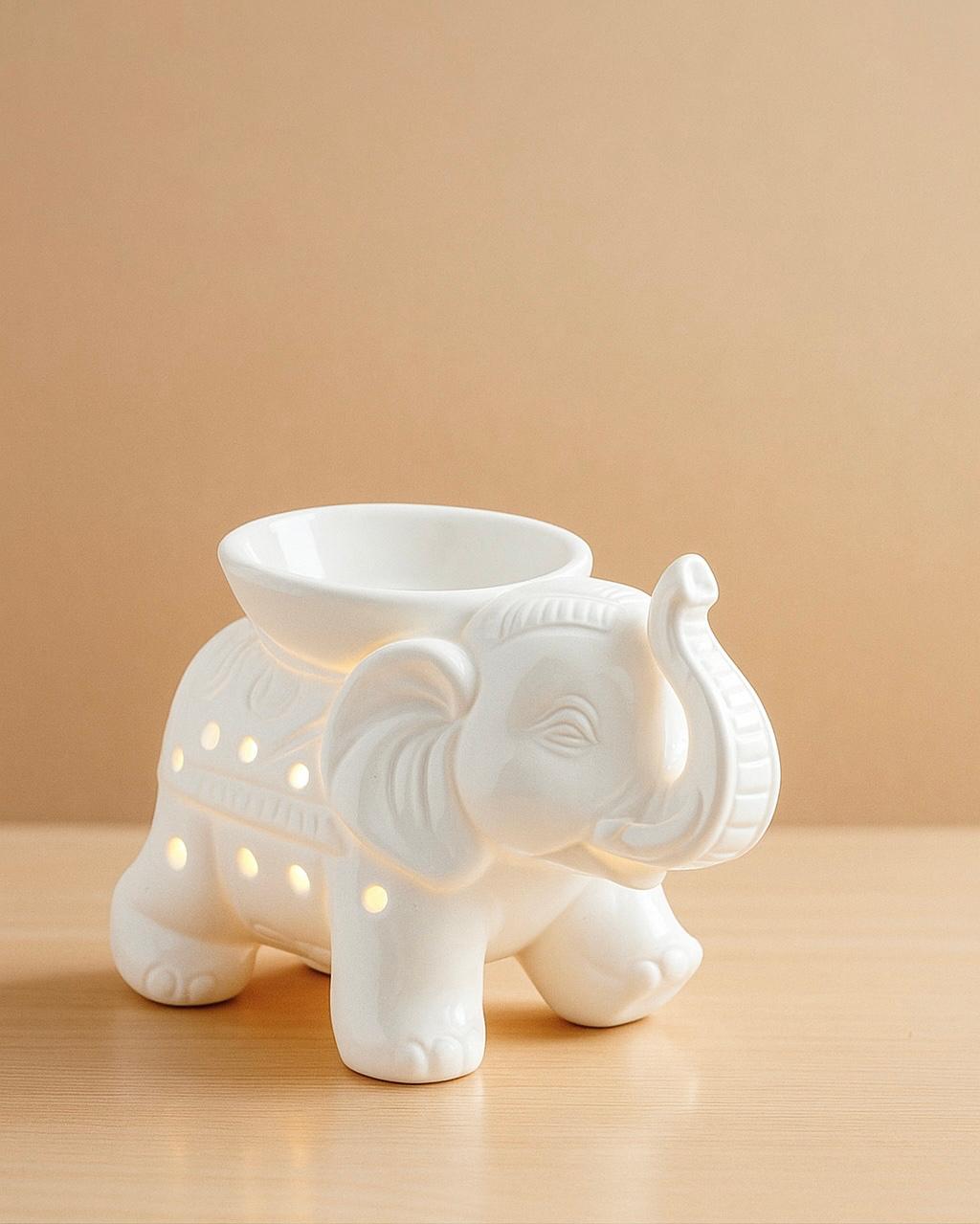 Diffuseur non électrique Tandor Blanc