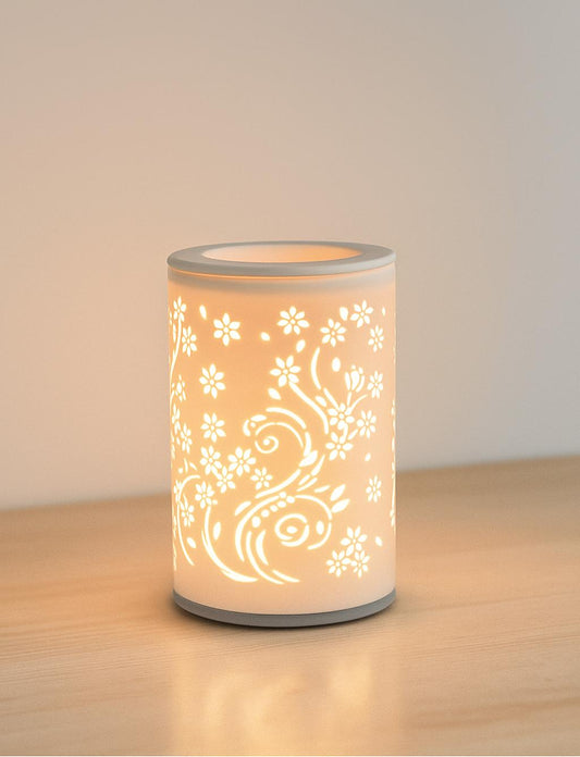 Diffuseur électrique.A N° 1